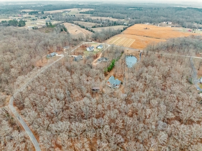 Country Home for Sale in Lewis County, Tennessee - image 4