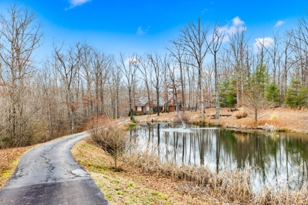 Country Home for Sale in Lewis County, Tennessee - image 6