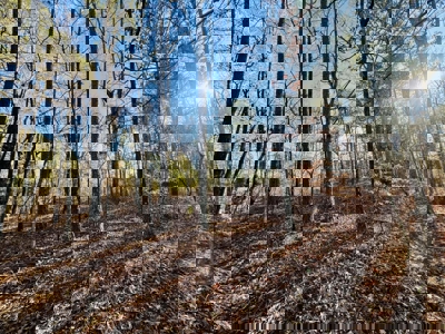 Home and Shop on Private Lake in Booneville, Mississippi - image 49