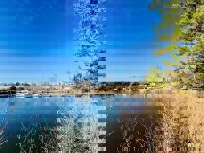 Home and Shop on Private Lake in Booneville, Mississippi - image 46