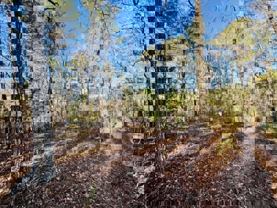 Home and Shop on Private Lake in Booneville, Mississippi - image 47