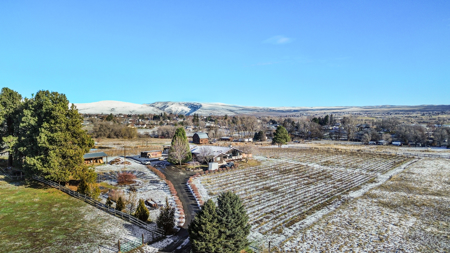 Home and Land For Sale in Selah, Washington - image 6