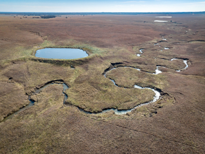 Quality Pasture with Water Near Gridley Kansas - image 8