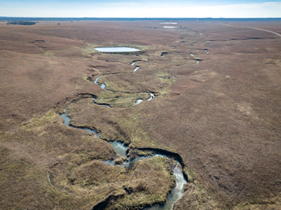 Quality Pasture with Water Near Gridley Kansas - image 9