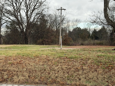 Residential lot for sale near Franklin, Ky. - image 2