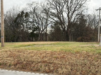 Residential lot for sale near Franklin, Ky. - image 3