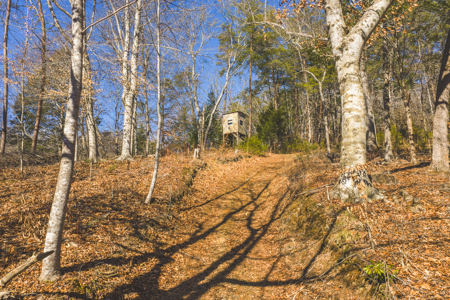 Turnkey Farmstead Brick Ranch Unrestricted Acres Claiborne Co TN - image 20