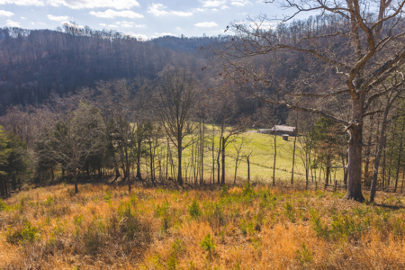 Turnkey Farmstead Brick Ranch Unrestricted Acres Claiborne Co TN - image 18