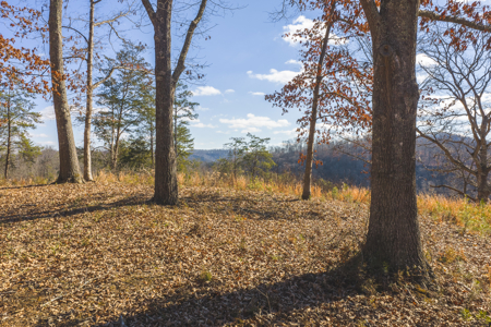 Turnkey Farmstead Brick Ranch Unrestricted Acres Claiborne Co TN - image 17