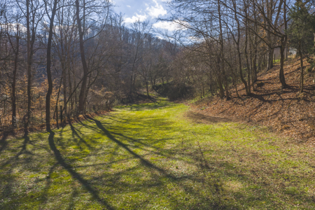 Turnkey Farmstead Brick Ranch Unrestricted Acres Claiborne Co TN - image 9