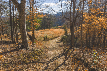 Turnkey Farmstead Brick Ranch Unrestricted Acres Claiborne Co TN - image 22