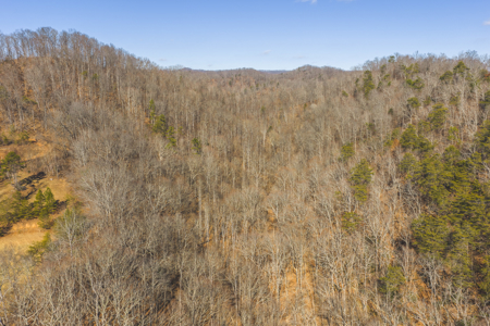 Turnkey Farmstead Brick Ranch Unrestricted Acres Claiborne Co TN - image 24