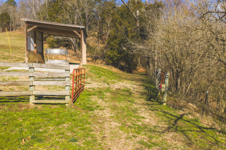 Turnkey Farmstead Brick Ranch Unrestricted Acres Claiborne Co TN - image 5