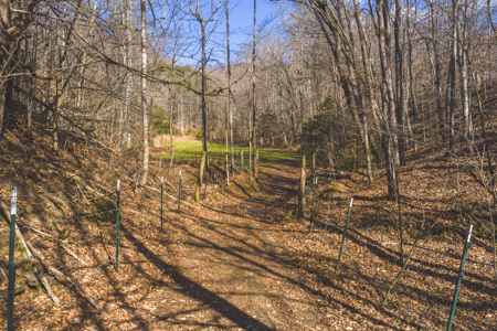 Turnkey Farmstead Brick Ranch Unrestricted Acres Claiborne Co TN - image 13