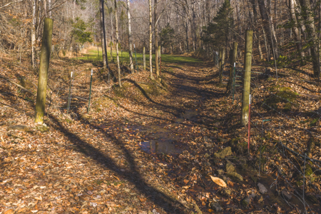 Turnkey Farmstead Brick Ranch Unrestricted Acres Claiborne Co TN - image 15