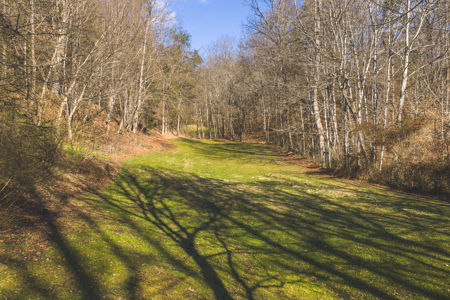Turnkey Farmstead Brick Ranch Unrestricted Acres Claiborne Co TN - image 6