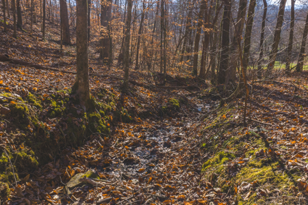 Turnkey Farmstead Brick Ranch Unrestricted Acres Claiborne Co TN - image 16