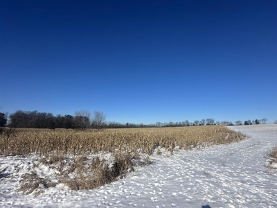 Tillable and Recreational Land For Sale in Manawa, WI - image 2