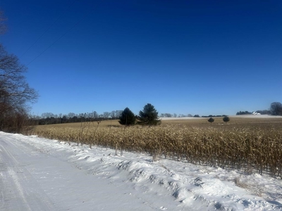 Tillable and Recreational Land For Sale in Manawa, WI - image 1