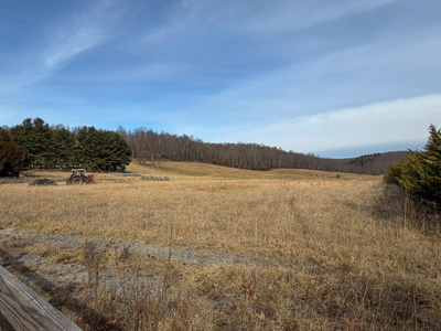 Historic Home on 74 acres in Draper, VA - image 44