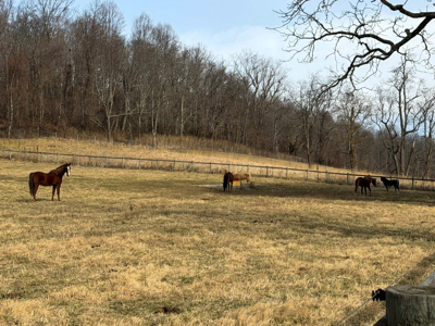 Historic Home on 74 acres in Draper, VA - image 46