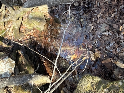 Peaceful Ozarks Living Near Leslie and Mountain View Arkansas - image 24