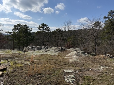 Peaceful Ozarks Living Near Leslie and Mountain View Arkansas - image 22