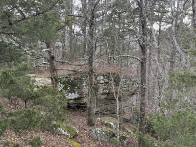 Peaceful Ozarks Living Near Leslie and Mountain View Arkansas - image 29