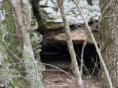 Peaceful Ozarks Living Near Leslie and Mountain View Arkansas - image 26