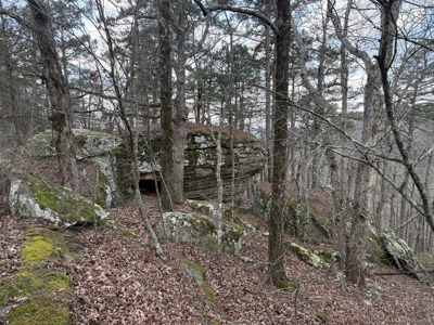 Peaceful Ozarks Living Near Leslie and Mountain View Arkansas - image 25