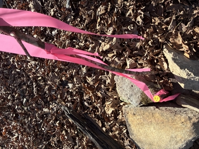 Peaceful Ozarks Living Near Leslie and Mountain View Arkansas - image 30