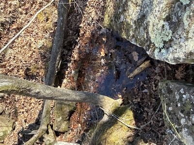 Peaceful Ozarks Living Near Leslie and Mountain View Arkansas - image 28