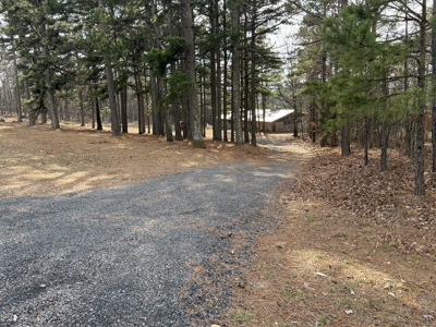 Peaceful Ozarks Living Near Leslie and Mountain View Arkansas - image 1