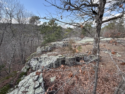 Peaceful Ozarks Living Near Leslie and Mountain View Arkansas - image 27