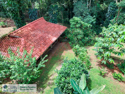 Titled Waterfront Home with Elevated Sea Views and Breezes - image 18