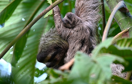 Titled Waterfront Home with Elevated Sea Views and Breezes - image 41