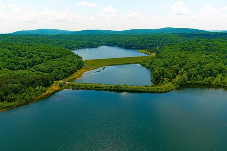 Missouri Ozarks Trophy Fishing And Hunting Ranch For Sale! - image 4