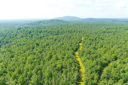 Missouri Ozarks Trophy Fishing And Hunting Ranch For Sale! - image 40