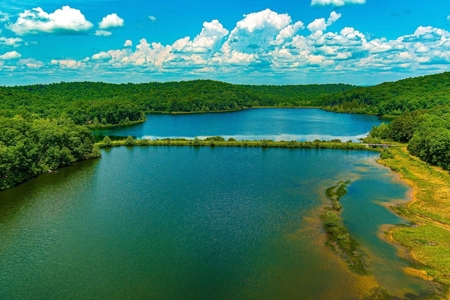 Missouri Ozarks Trophy Fishing And Hunting Ranch For Sale! - image 7