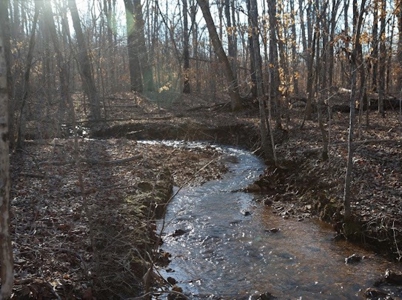 Missouri Ozarks Trophy Fishing And Hunting Ranch For Sale! - image 22