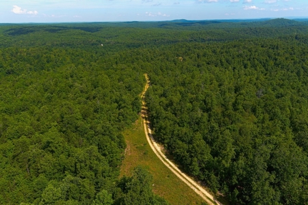 Missouri Ozarks Trophy Fishing And Hunting Ranch For Sale! - image 29