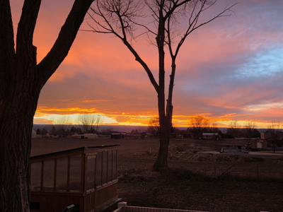 Home in Town with Small Acreage For Sale - image 37