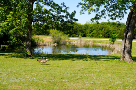 Country Log Home Meeker Ok For Sale - image 31