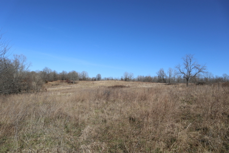 Country Home With Shop & 20 Acres For Sale Mammoth Spring Ar - image 3