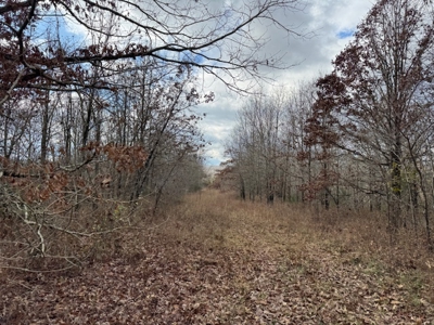 Country Home With Shop & 20 Acres For Sale Mammoth Spring Ar - image 11
