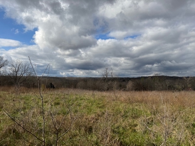 Country Home With Shop & 20 Acres For Sale Mammoth Spring Ar - image 41