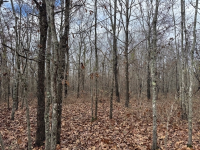 Country Home With Shop & 20 Acres For Sale Mammoth Spring Ar - image 43