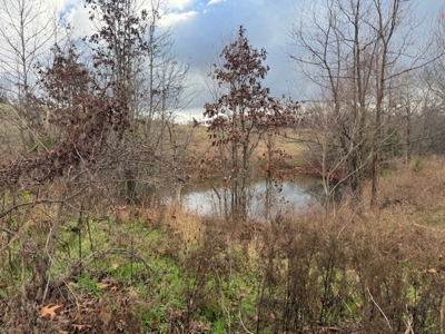 Country Home With Shop & 20 Acres For Sale Mammoth Spring Ar - image 42