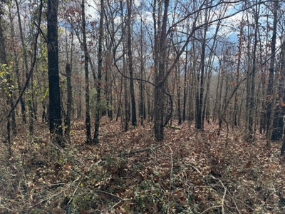 Country Home With Shop & 20 Acres For Sale Mammoth Spring Ar - image 12
