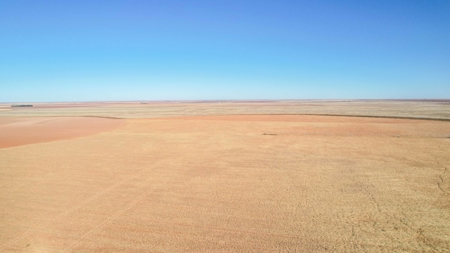 353.09+/- Acres of Farmland in Cochran County, Texas - image 3